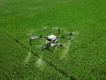 Giải pháp thông minh dùng máy bay điều khiển từ xa khi phun thuốc trừ sâu cho cánh đồng lúa.