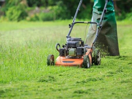 Máy cắt cỏ chuyên nghiệp cho dịch vụ cắt cỏ, chăm sóc cảnh quan sân vườn