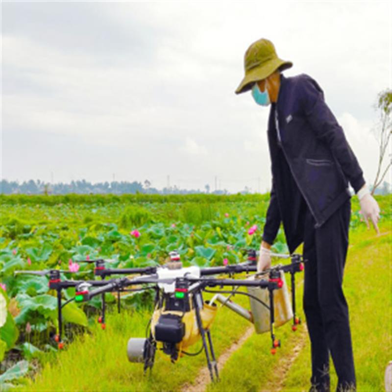 Bác Phú - Đồng Tháp